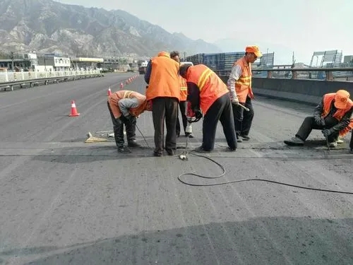 桃城道路桥梁病害治理